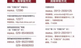 爆料虚假新闻违法吗,法律红线不容触碰